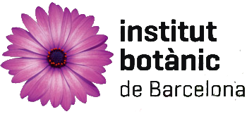 Inicio